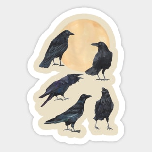 Ravens Sticker
